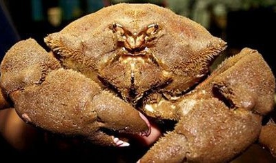 Ngộ độc cua biển, 3 người nhập viện