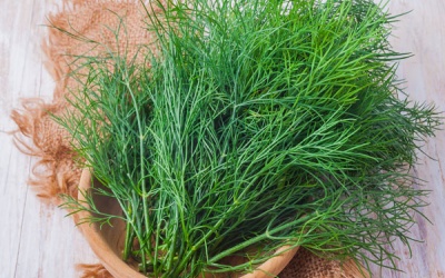 6 lợi ích sức khỏe không tưởng của thì là (P2)