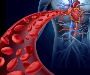 Thuốc trầm cảm gây vữa xơ mạch vành