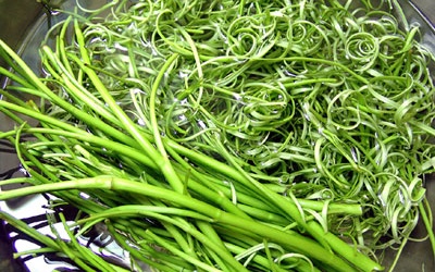 Ăn sống rau muống: Cực độc