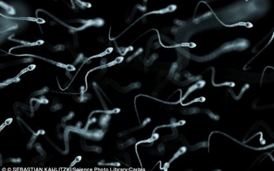 'Chế' thành công tinh trùng trong phòng thí nghiệm