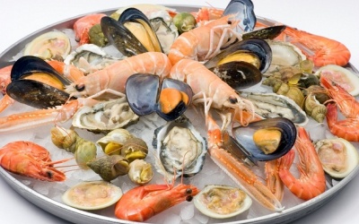 Những lý do nên ăn động vật có vỏ