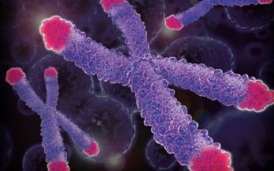 Điều trị thành công bệnh nhân bị tích lũy đồng, xơ hóa gan