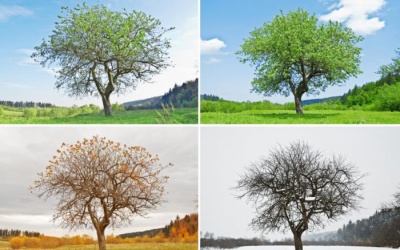 Vì sao chúng ta khỏe hơn vào mùa Hè?