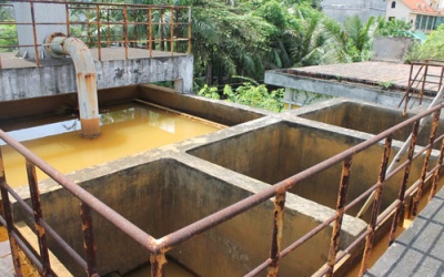 Nước có mùi và rong rêu vẫn cho đạt chuẩn