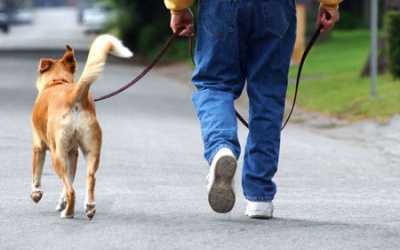 Đi bộ 30 phút/ngày giúp sống thọ thêm 5 năm