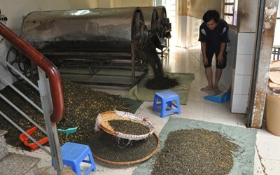 Phát hiện 12 tấn trà đang “tẩm” hóa chất