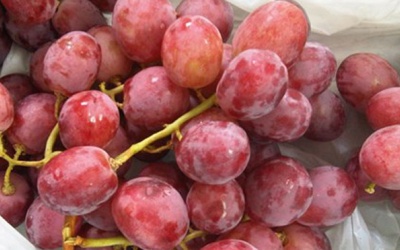 Bị đau đầu ăn gì thì nguy?