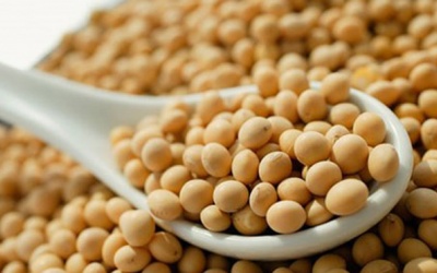 Những người không nên ăn đậu xanh, đậu tương, đậu đen