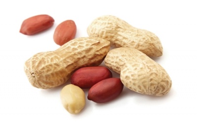 Hen suyễn nghiêm trọng hơn do... đậu phộng