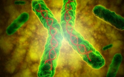 Giảm chất lượng gene, giảm tuổi thọ vì nghèo!