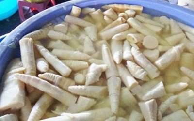 Măng vàng được “tắm” 2 lần hóa chất