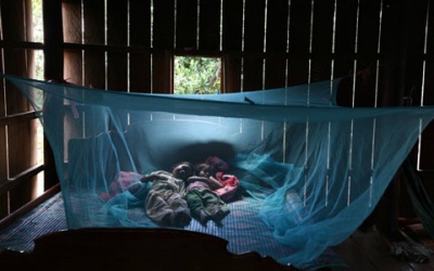 Nguy cơ dịch bệnh bùng phát mùa hè do muỗi