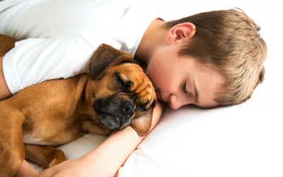 Những điều thú vị về giấc ngủ của thế giới động vật