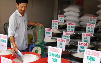 Cách phát hiện gạo giả, gạo nhựa Trung Quốc