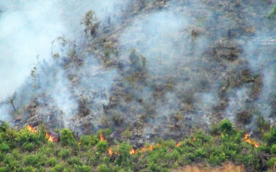 Đà Nẵng cảnh báo nguy cơ cháy rừng do nắng nóng