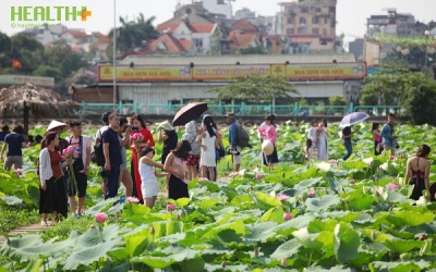 Hái ra tiền nhờ dịch vụ ăn theo mùa sen