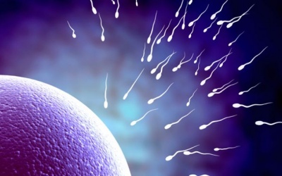 Dự đoán trẻ tự kỷ bằng tinh trùng của cha 