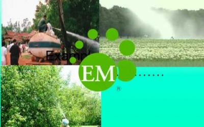 Ứng dụng công nghệ vi sinh trong thực phẩm hữu cơ