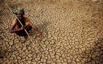 Ấn Độ: Hơn 1.100 người chết do nắng nóng 