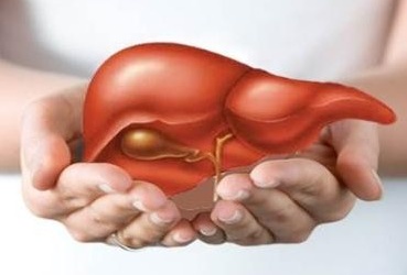 Gan bị thuốc tấn công thế nào?