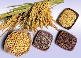 Hạn chế thực phẩm chứa nickel – Giúp giảm cân, giảm mỡ thừa