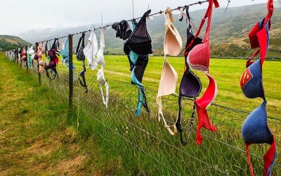 'Độc đáo' hàng rào áo ngực ở New Zealand