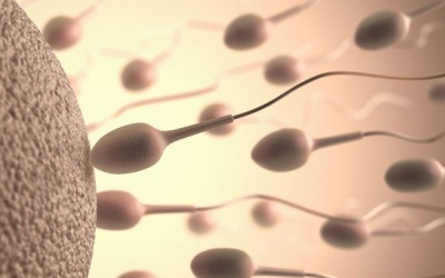 'Tinh binh' khoẻ nhất khi nào?