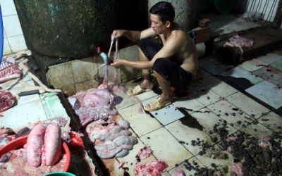 Mổ heo lậu dưới nền đầy chất thải