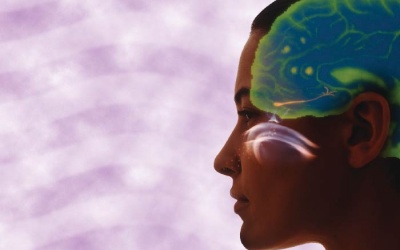 Con người có thể nhận biết bao nhiêu mùi hương?