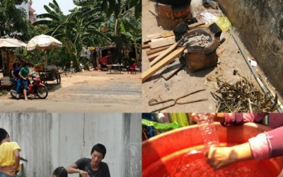 Thực hư việc nấu nước “mát' bằng rễ tranh và lá dứa