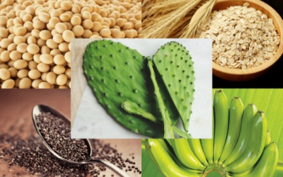 Bất ngờ với TPCN giảm cân và đái tháo đường hiệu quả từ Mexico