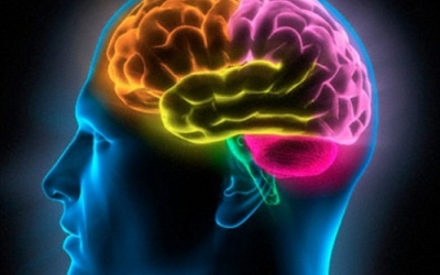 Kém thông minh vì mắc bệnh nhiễm trùng