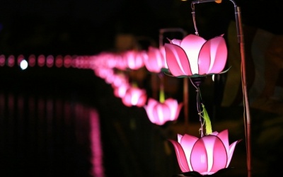 Lung linh sắc màu mùa Phật Đản khắp đất nước