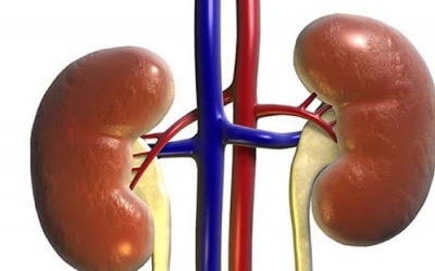 Bệnh suy thận: Có triệu chứng, thận đã hư!