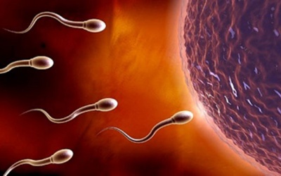 Những thói quen giết chết “tinh binh” của bạn