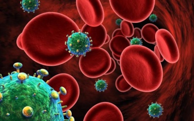 Tìm ra cách 'diệt' virus HIV