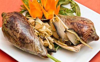 8 món ngon từ ốc giác