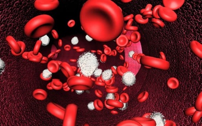 Suy tủy xương: Những điều cần biết