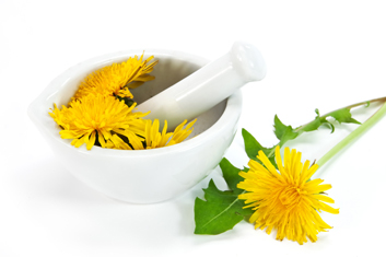 Thải độc toàn bộ cơ thể bằng thảo dược