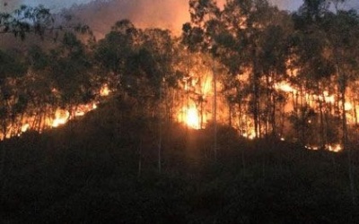 Thanh Hóa: 3 ngày cháy hơn 200 ha rừng