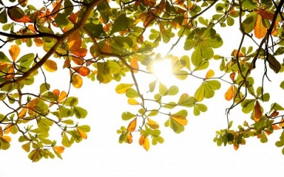 Dự báo thời tiết ngày 6/6: Nắng nóng lại gay gắt