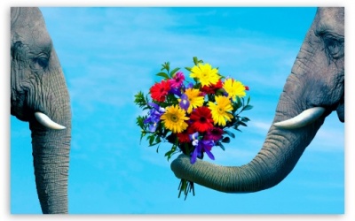 Tử vi 12 cung hoàng đạo Chủ nhật (7/6/2015)