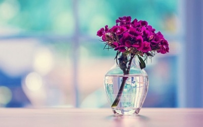 Tử vi 12 cung hoàng đạo thứ Bảy (6/6/2015)