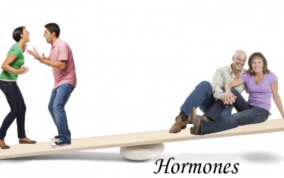 Nội tiết tố thay đổi, mối nguy của bất kỳ ai