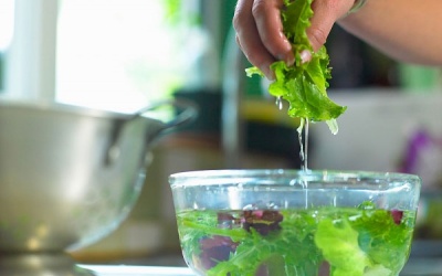 Ngâm rau trong nước có giúp rửa sạch thuốc sâu không?