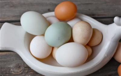 Loại trứng nào tốt nhất cho sức khỏe?
