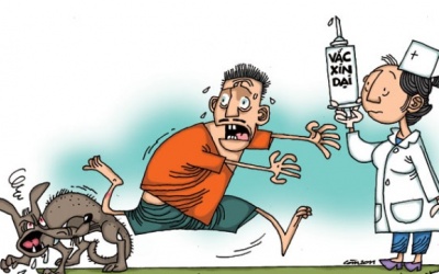 Video: Kiểm soát bệnh dại đúng cách