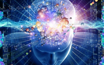 Bạn biết gì về giấc ngủ REM?