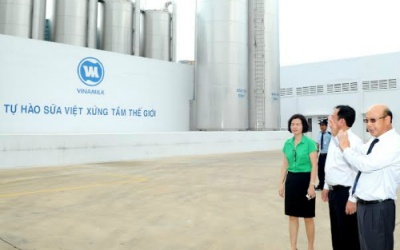 Vinamilk hợp tác với tỉnh Lâm Đồng chăn nuôi bò sữa, giúp nông dân thoát nghèo